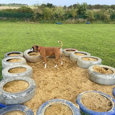 Furfields Dog Park gallery 3