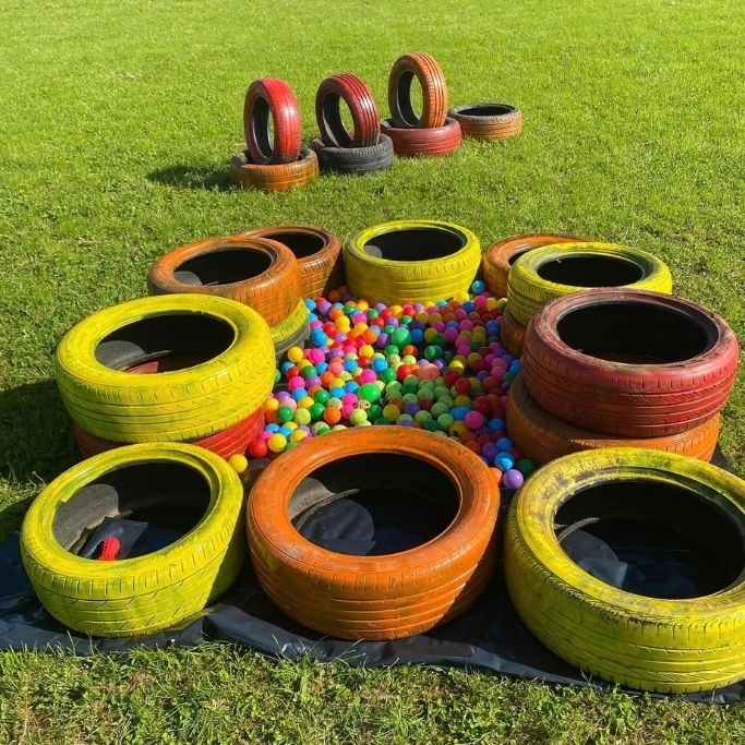 Dog training and exercise